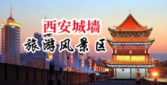 日韩淫污136福利视频导航中国陕西-西安城墙旅游风景区